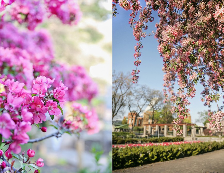 jardin botanico 2016 primavera5