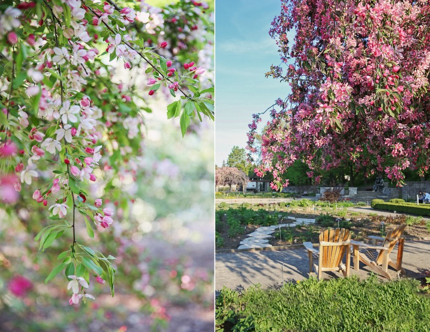 jardin botanico 2016 primavera6-001